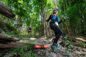 BIB: 
                            <button type="button" onclick="openModal(19392016)" class="btn btn-primary btn-sm float-right btn-popup" data-toggle="modal" data-target=".modal-high-quality">
                        <i class="fas fa-shopping-cart"></i> Add to Cart
                    </button>
                                            <button type="button" onclick="isThisMe(19392016, true)" class="btn btn-success btn-sm float-right btn-popup btn-isme hidden" data-toggle="tooltip" data-placement="bottom" title="นี่คือรูปของคุณใช่ไหม คลิกที่นี่เพื่อเอาเข้าอัลบั้ม">
                        <i class="fas fa-plus"></i> Add to album
                    </button>
                    <button type="button" onclick="isThisMe(19392016, false)" class="btn btn-warning btn-sm float-right btn-popup btn-isnotme hidden">
                        <i class="fas fa-ban"></i> Remove from album
                    </button>